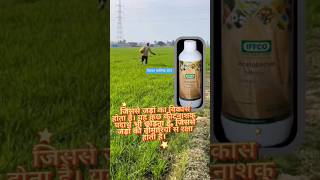 🌾एजोटोबैक्टर जैव उर्वरक 🌾 IFFCO Azotobacter Bio Fertilizer 🌾🤔🤔🤔all crops 🌾 [upl. by Gareth191]