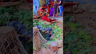 Merman at RenFest renfest shortvideo festival cosplay merman youtubeshorts shortsfeed [upl. by Ekrub]