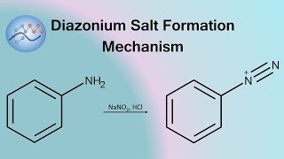 Diazonium Salt Formation Mechanism  Organic Chemistry [upl. by Melan]