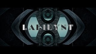 Gedz  Labirynt prod Robert Dziedowicz  OFFICIAL VIDEO [upl. by Manlove]