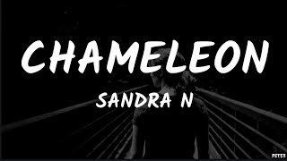 Sandra N  Chameleon Lyrics Video [upl. by Noruq]