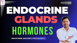 Endocrine System Physiology Malayalam Endocrine glands Hormones Introduction Malayalam [upl. by Akilaz]