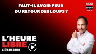 Fautil avoir peur du retour des loups   LHeure Libre [upl. by Nnitsuj]