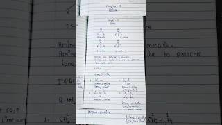 amines notes class 12  chemistry chapter 13 [upl. by Eiddal]