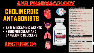 Cholinergic Antagonists  Parasympatholytics  Antimuscarinic Agents Neuromuscular blockers  L4 [upl. by Wier]