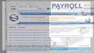 Irish Payroll 2014 Training Course amp Reference Guide PC Edition [upl. by Norbie210]