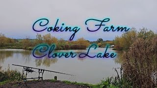 48hr at Coking Farm Clover Lake  Battle of the swans Mr vs Mrs 😂 [upl. by Nahallac473]