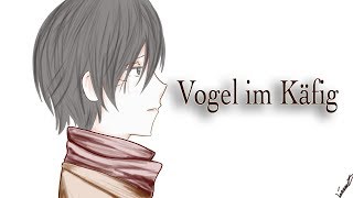 Attack on Titan  Vogel im Kafig Cover [upl. by Illom]