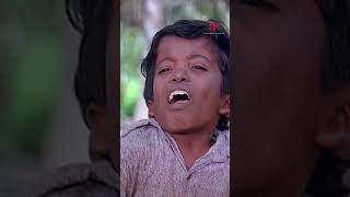 Watch full video👆Mundhanai Mudichu Comedy Scenes  mundhanaimudichu bhagyaraj urvashi shorts [upl. by Sudnor607]