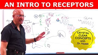 An Intro to Receptors  Types Structure amp Location  Part 1 [upl. by Orual424]