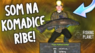 PECANJE SOMA NA KOMADICE RIBE  Fishing Planet Flathead Catfish Neherrin River [upl. by Abbotsun]