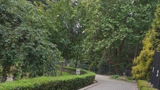 Зоопарк Польша Краков 250723 Zoo Poland Krakow [upl. by Aieki]