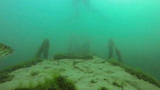 Scuba Diving Lake Havasu [upl. by Jaunita985]