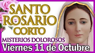 Santo Rosario Corto de Hoy Viernes 11 de Octubre 🌼 Misterios Dolorosos 💜 Rosario a Virgen María [upl. by Cirtemed]