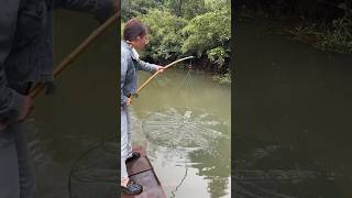 GreatMore Koi carp fishing by netWait for the resultnetfishing fishingwithmasud fishinglife [upl. by Odarbil]