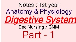 Digestive system  part  1  Anatomy amp Physiology  BSC Nursing  GNM  walls  layers of GI [upl. by Aicenav710]