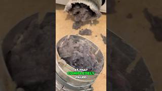 Dryer Vent was Not Cleaned for over 20 YEARS [upl. by Talyah]