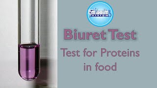 Protein Test or The biuret Test Test for Proteins in food [upl. by Adlin]