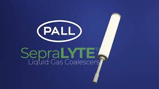 Installing a Pall SepraLYTE Liquid Gas Coalescer [upl. by Gearalt]