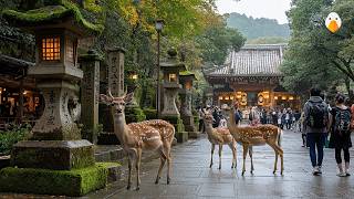 Nara Japan🇯🇵 Discover the Magical City Where Deer and Temples Coexist 4K UHD [upl. by Nancey]