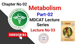 Metabolism 1st Year MDCAT Part2 In Urdu Hindi  Biological Molecules  Lecture No 03  CHNo 02 [upl. by Sufur782]