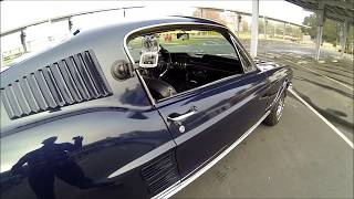 1967 MUSTANG FASTBACK [upl. by Ybbil]