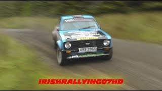 Bushwhacker Rally 2017 IRISHRALLYING07HD [upl. by Aneeram]