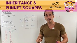 Inheritance and Punnett squares [upl. by Nosoj]