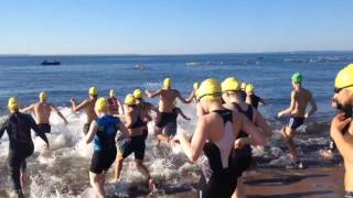 Swimmers jump in at start of Staten Island Triathlon [upl. by Rehpitsirhc]