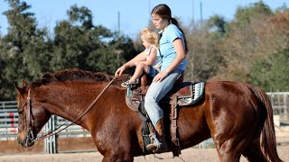 Walnut  2015 Sorrel FamilyTrail Gelding [upl. by Kesley]