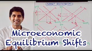 Y1 6 Microeconomic Equilibrium Shifts [upl. by Deerc114]