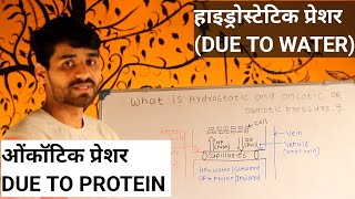 WHAT IS HYDROSTATIC AND ONCOTIC OR OSMOTIC PRESSURE इन हिंदी [upl. by Acnairb]