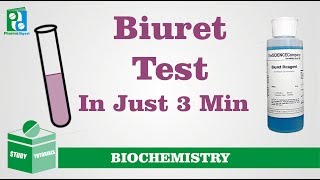 Biuret Test Just in 3 Minutes [upl. by Mathilda]