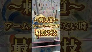 【クレーンゲーム】景品壊しすぎて店員さんに目をつけられた結果 ufoキャッチャー ゲームセンター 事故 [upl. by Bronwyn]