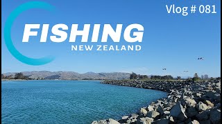 WAIRAU BAR  FISHING IN NEW ZEALAND [upl. by Lerat]