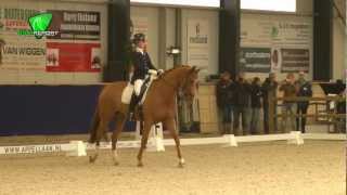 Lisanne der Nederlanden  Alaska DvB ZZ Zwaar KNHS Indoor Kampioenschap 2013 [upl. by Ccasi460]