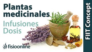 Tratamiento con plantas medicinales  Cómo hacer la infusión dosis y duración de un tratamiento [upl. by Ennoryt]