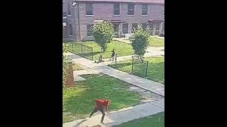 Gunman Opens Fire in Altgeld Gardens as Children Play Far South Side [upl. by Ricker]