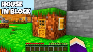 Whats INSIDE the TINY HOUSE in the GRASS BLOCK in Minecraft  SMALLEST HOUSE [upl. by Bernt]