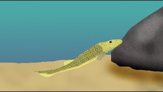 Fish of the Silurian Period [upl. by Boone]