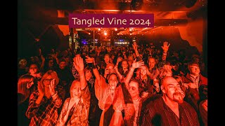 Tangled Vine 2024 [upl. by Ittak99]