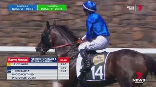 2024 SEVEN News  SPORT  Newmarket Handicap [upl. by Florina]