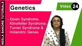 Genetics  Down Syndrome Klinefelter Syndrome Turner Syndrome amp Holandric genes  Neela Bakore [upl. by Yve]