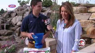 IFA Lawn Care Tips on Good4Utah [upl. by Shoifet555]