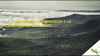 Parque Chiribiquete en Colombia entra a la lista de patrimonio natural y cultural de la humanidad [upl. by Brendin731]