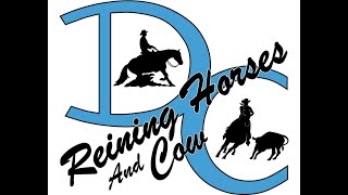 DC REINING HORSES CLASSIC 2024 [upl. by Reichel]