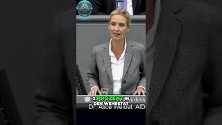 🔥 Alice Weidel Bundeswehr am Ende ⚔️🏛️ Durch welche Probleme wir verletzt sind ⚠️🇩🇪 [upl. by Carmencita669]