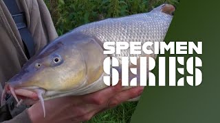 Big River Barbel Fishing  Tips amp Tactics [upl. by Yaeger]