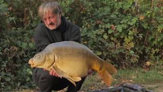 Carpfishing With EDDY STERCKX On Lac De Rogers [upl. by Ecinaej82]