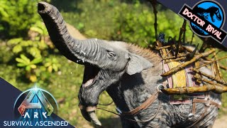 DEINOTHERIUM  Ark Survival Ascended  Ark Additions Dino [upl. by Sashenka]